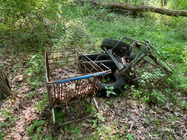 A pile of dumped shopping carts and a tire in the woods.