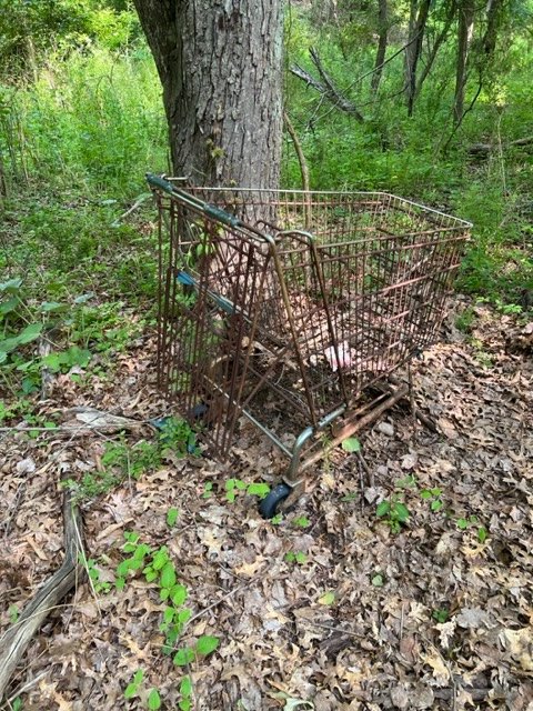 An old rusted shopping cart wedged against a tree in the woods.