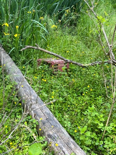 Old rusted metal debris in tall grass near a fallen log and wildflowers.